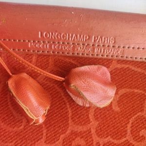 Longchamp bag